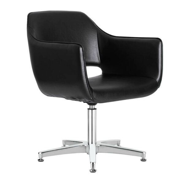 Salon Chairs product image